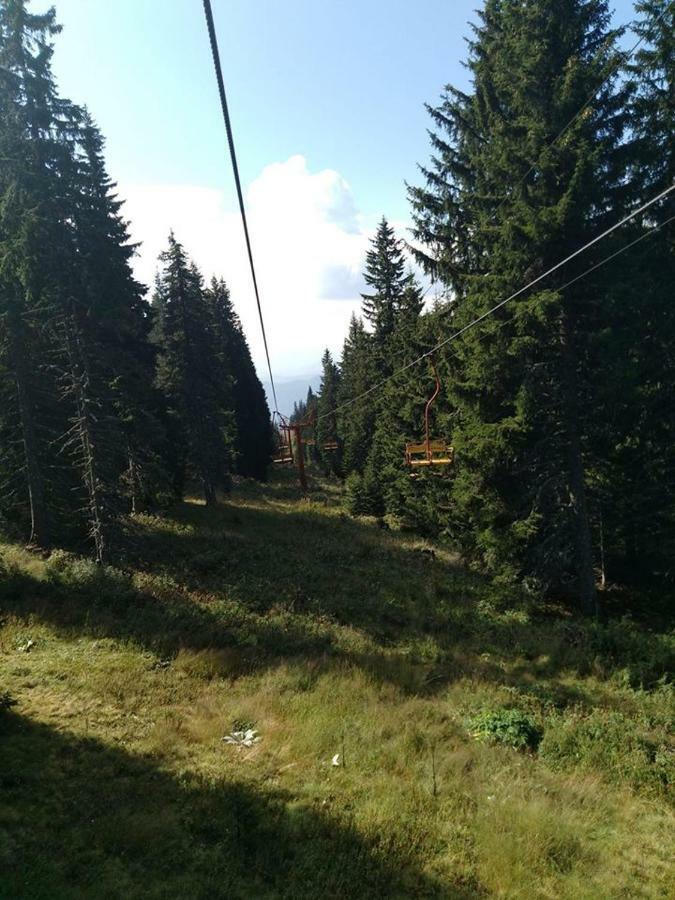 Пампорово Студио Милка В Хотел Росица Esterno foto